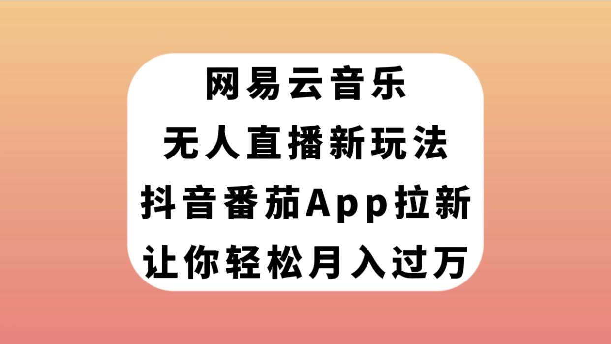 网易云音乐无人直播新玩法，抖音番茄APP拉新，让你轻松月入过万-廉价云资源网
