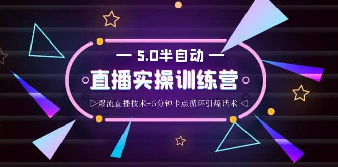 蚂蚁·5.0半自动直播2345打法，半自动爆流直播技术+5分钟卡点循环引爆话术-廉价云资源网