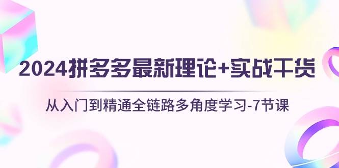 2024拼多多 最新理论+实战干货，从入门到精通全链路多角度学习-7节课-廉价云资源网