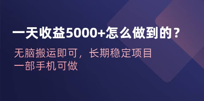 一天收益5000+怎么做到的？无脑搬运即可，长期稳定项目，一部手机可做-廉价云资源网