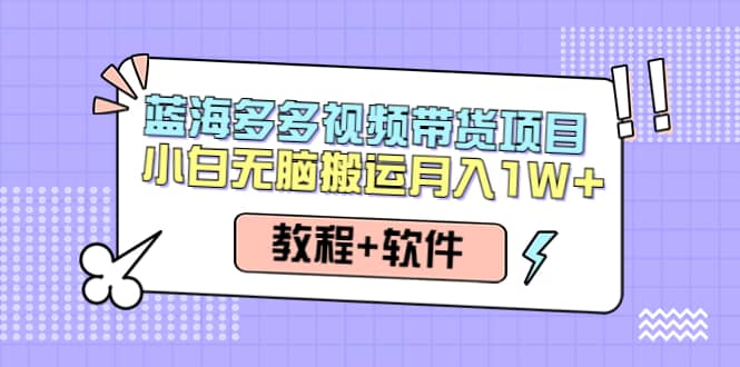 人人都能操作的蓝海多多视频带货项目 小白无脑搬运（教程+软件）-廉价云资源网