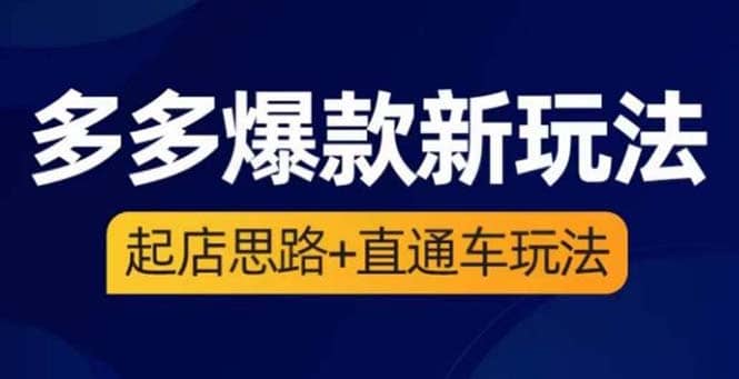 2023拼多多爆款·新玩法：起店思路+直通车玩法（3节精华课）-廉价云资源网