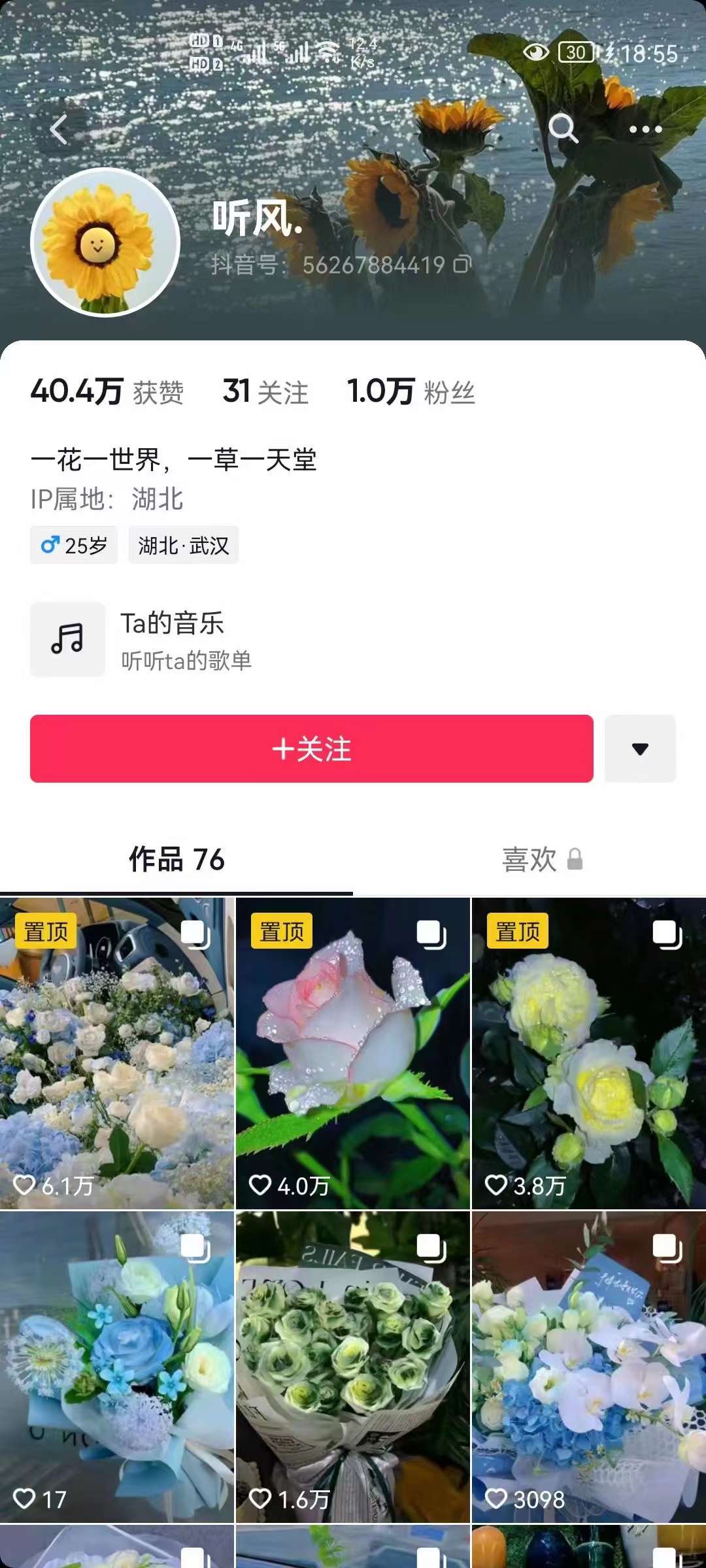 图片[2]-抖音壁纸变现项目：实战日入380+发布壁纸素材获取收益！-廉价云资源网