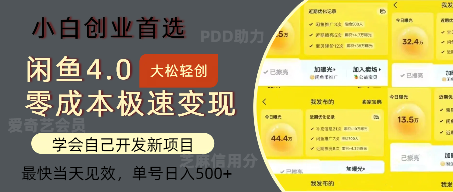 闲鱼0成本极速变现项目，多种变现方式，单号日入500+最新玩法-廉价云资源网