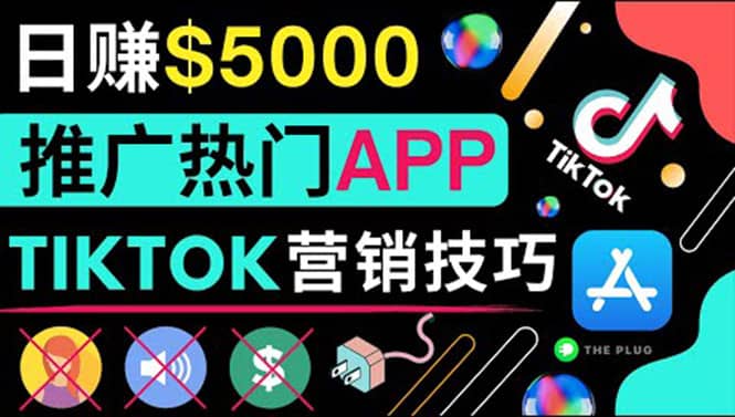 无需露脸，无需录音，无需投资，TIKTOK上传短视频，最高日入5000美元-廉价云资源网