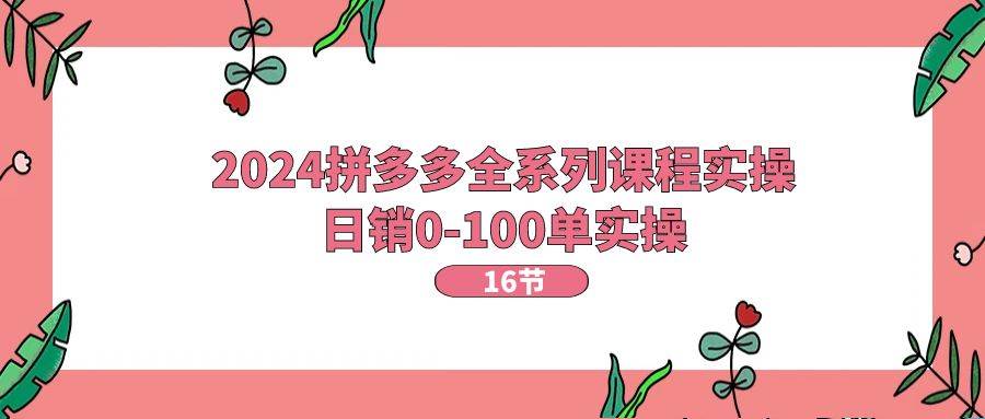2024拼多多全系列课程实操，日销0-100单实操【16节课】-廉价云资源网