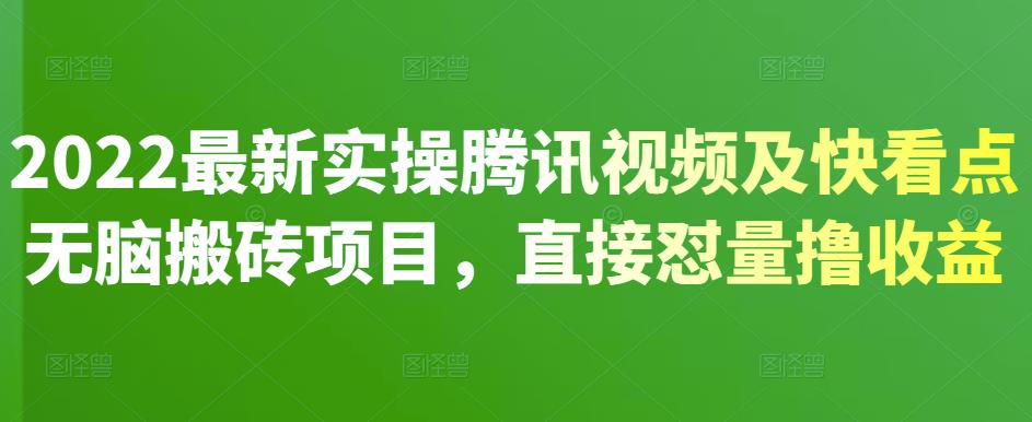 2022最新实操腾讯视频及快看点无脑搬砖项目，直接怼量撸收益-廉价云资源网