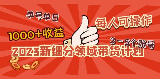 2023新细分领域带货计划：单号单日1000+收益不难，每人可操作3-5个账号-廉价云资源网