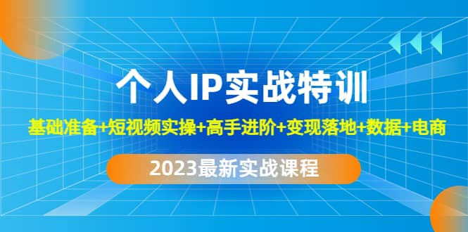 2023个人IP实战特训：基础准备+短视频实操+高手进阶+变现落地+数据+电商-廉价云资源网