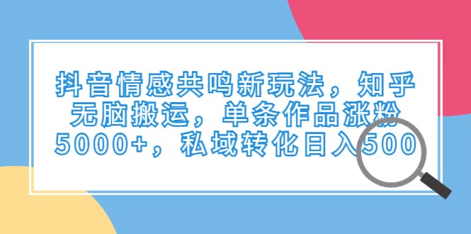 抖音情感共鸣新玩法，知乎无脑搬运，单条作品涨粉5000+，私域转化日入500-廉价云资源网
