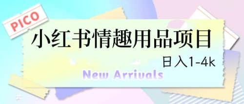 最新小红书情趣用品项目，日入1-4k-廉价云资源网