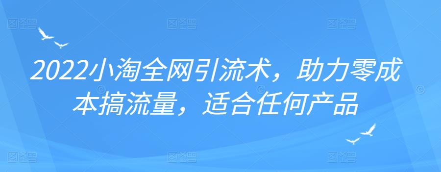 2022年小淘全网引流术，助力零成本搞流量，适合任何产品-廉价云资源网