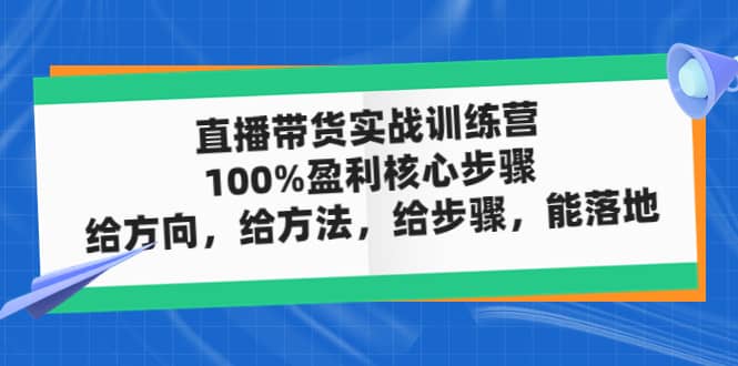 直播带货实战训练营：100%盈利核心步骤，给方向，给方法，给步骤，能落地-廉价云资源网
