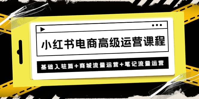 小红书电商高级运营课程：基础入驻篇+商城流量运营+笔记流量运营-廉价云资源网