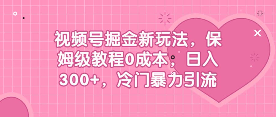 视频号掘金新玩法，保姆级教程0成本，日入300+，冷门暴力引流-廉价云资源网