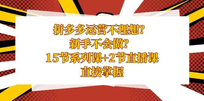 拼多多运营不理想？新手不会做？15节系列课+2节直播课，直接掌握-廉价云资源网