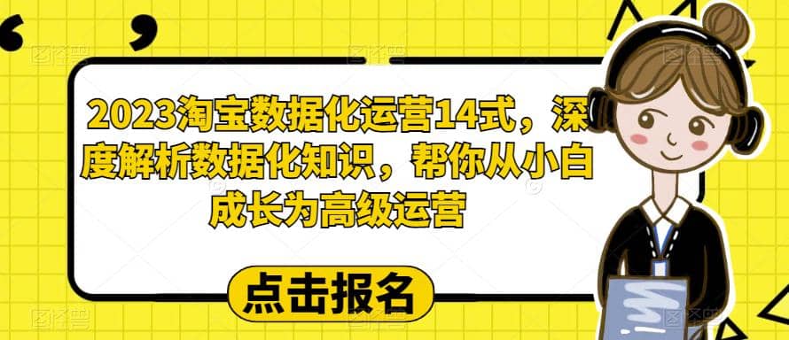2023淘宝数据化-运营 14式，深度解析数据化知识，帮你从小白成长为高级运营-廉价云资源网