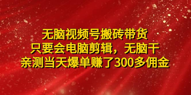 无脑视频号搬砖带货，只要会电脑剪辑，无脑干-廉价云资源网