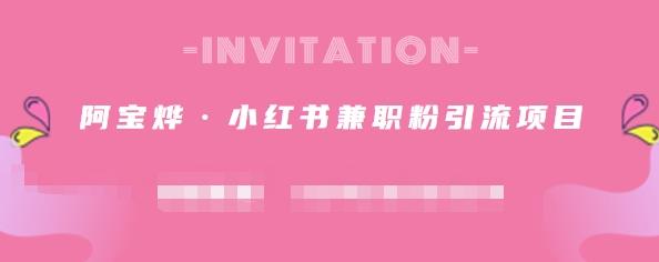 阿宝烨·小红书兼职粉引流项目，流量大，引流效果好【视频课程】-廉价云资源网