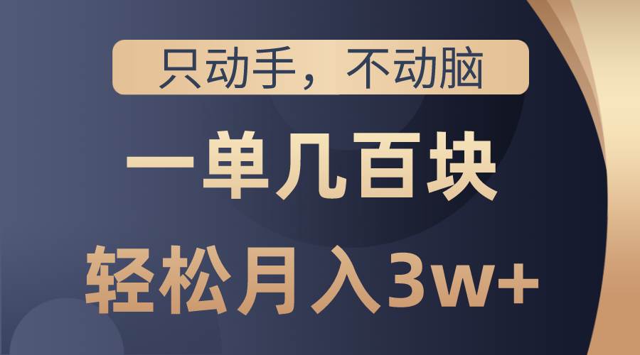 只动手不动脑，一单几百块，轻松月入3w+，看完就能直接操作，详细教程-廉价云资源网