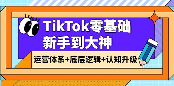 TikTok零基础新手到大神：运营体系+底层逻辑+认知升级（9节系列课）-廉价云资源网
