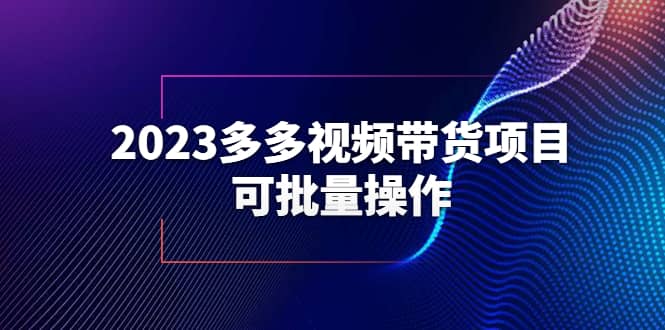 2023多多视频带货项目，可批量操作【保姆级教学】-廉价云资源网
