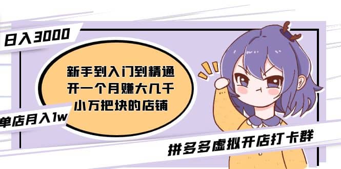 拼多多虚拟开店打卡群：新手到入门到精通-廉价云资源网