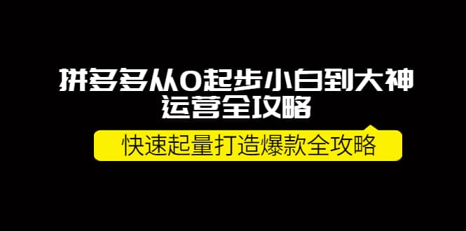 拼多多从0起步小白到大神运营全攻略-廉价云资源网