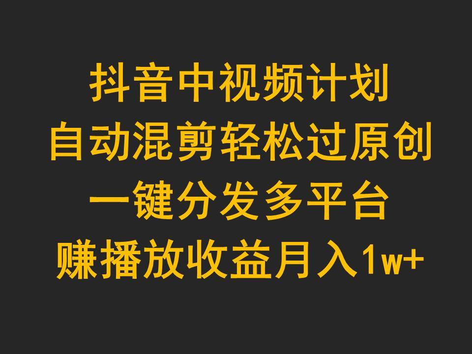 抖音中视频计划，自动混剪轻松过原创，一键分发多平台赚播放收益，月入1w+-廉价云资源网
