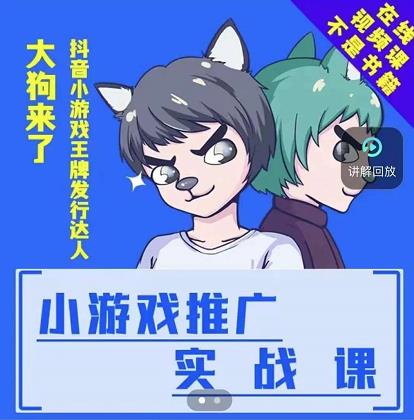大狗来了：小游戏推广实战课，带你搭建一个游戏推广变现账号-廉价云资源网