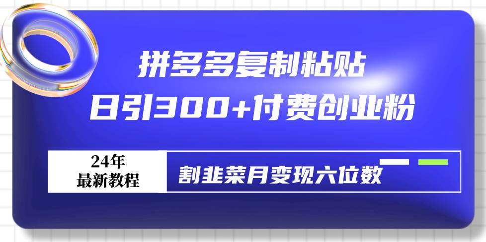 拼多多复制粘贴日引300+付费创业粉，割韭菜月变现六位数最新教程！-廉价云资源网