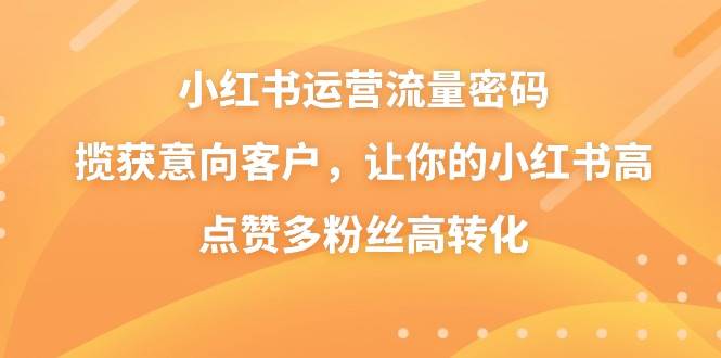 小红书运营流量密码，揽获意向客户，让你的小红书高点赞多粉丝高转化-廉价云资源网