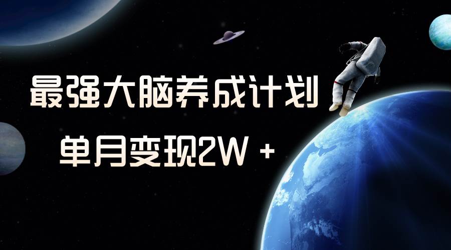 冷门虚拟项目，最强大脑养成计划，一个月变现2W＋-廉价云资源网