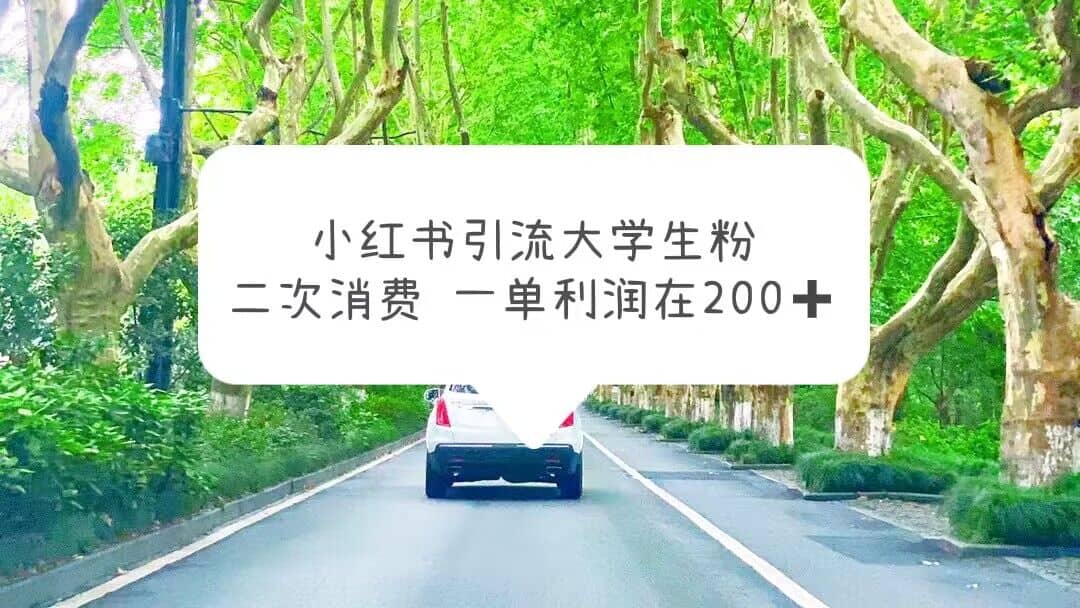 小红书引流大学生粉，变现项目，一单利润在200+（教程+资源）-廉价云资源网