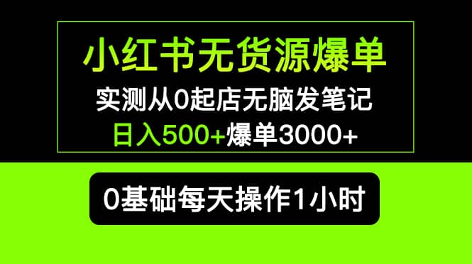 小红书无货源爆单 实测从0起店无脑发笔记爆单3000+长期项目可多店-廉价云资源网