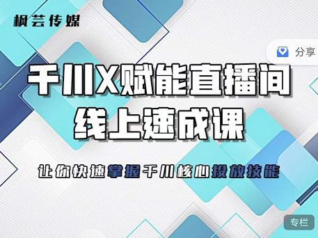 枫芸传媒-线上千川提升课，提升千川认知，提升千川投放效果-廉价云资源网