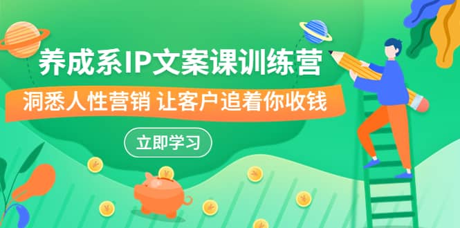 养成系-IP文案课训练营，文案心法的天花板 洞悉人性营销 让客户追着你收钱-廉价云资源网