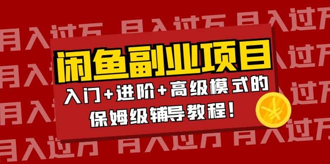 月入过万闲鱼副业项目：入门+进阶+高级模式的保姆级辅导教程-廉价云资源网