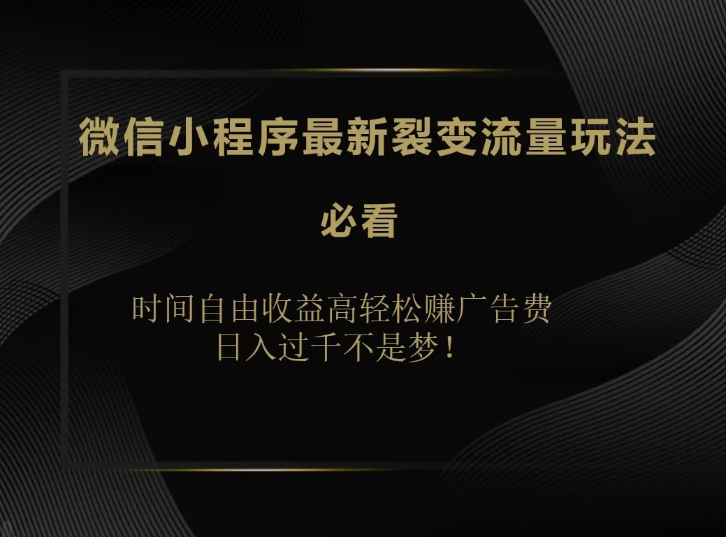 微信小程序最新裂变流量玩法，时间自由收益高轻松赚广告费，日入200-500+-廉价云资源网