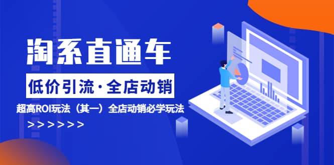 淘系直通车《低价·引流 全店·动销》超高ROI玩法（其一）全店动销必学玩法-廉价云资源网