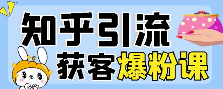 2022船长知乎引流+无脑爆粉技术：每一篇都是爆款，不吹牛，引流效果杠杠的-廉价云资源网