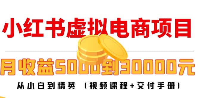 小红书虚拟电商项目：从小白到精英 (视频课程+交付手册)-廉价云资源网