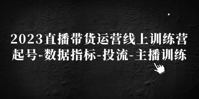 2023直播带货运营线上训练营，起号-数据指标-投流-主播训练-廉价云资源网