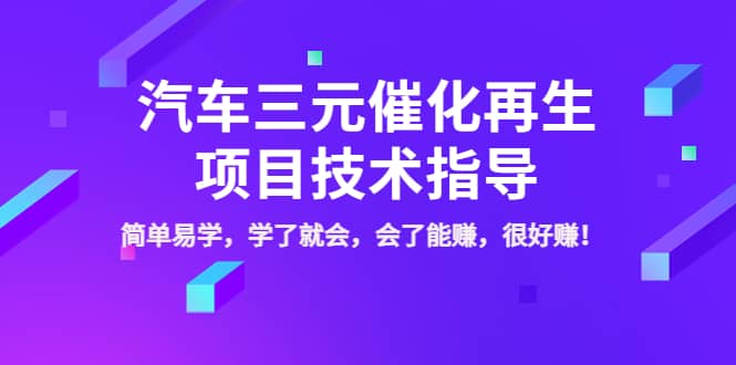 汽车三元催化再生项目技术指导，简单易学，学了就会，会了能赚，很好赚！-廉价云资源网