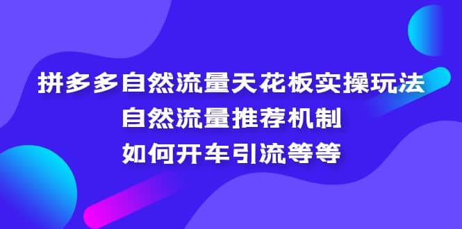 拼多多自然流量天花板实操玩法：自然流量推荐机制，如何开车引流等等-廉价云资源网
