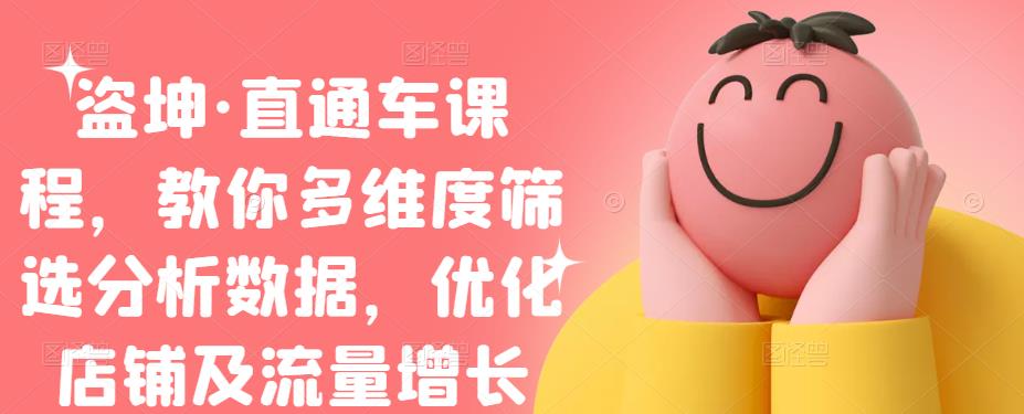 盗坤·直通车课程，教你多维度筛选分析数据，优化店铺及流量增长-廉价云资源网