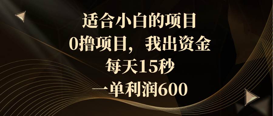 适合小白的项目，0撸项目，我出资金，每天15秒，一单利润600-廉价云资源网