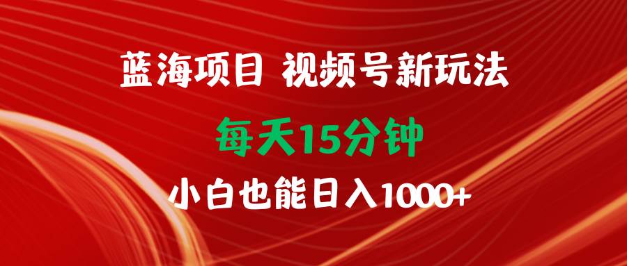 蓝海项目视频号新玩法 每天15分钟 小白也能日入1000+-廉价云资源网