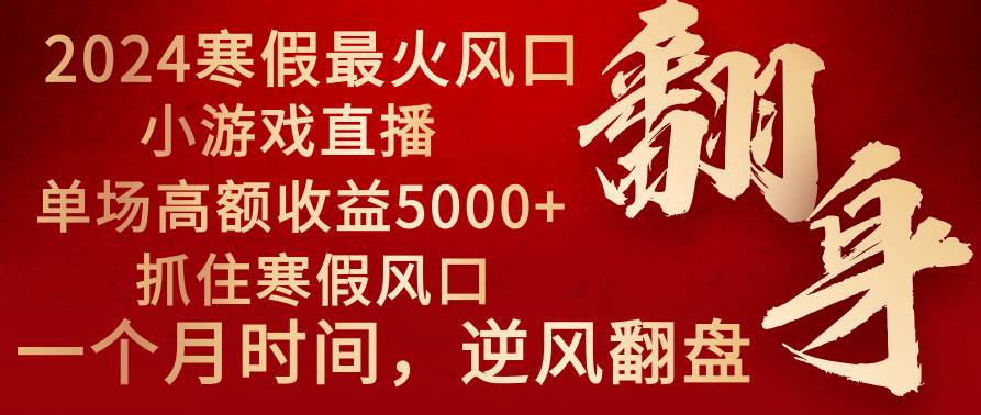 2024年最火寒假风口项目 小游戏直播 单场收益5000+抓住风口 一个月直接提车-廉价云资源网