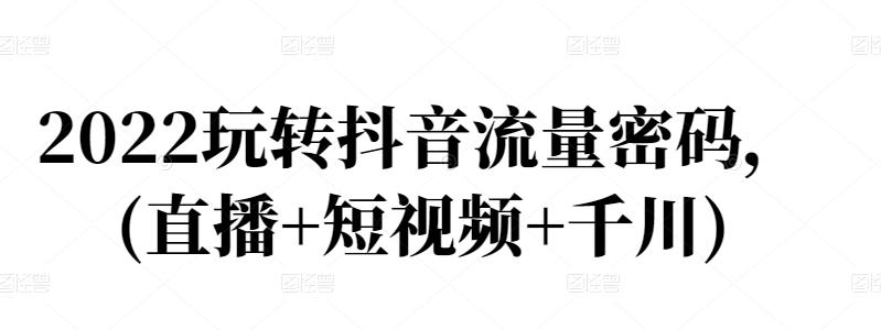 2022玩转抖音流量密码，(直播+短视频+千川)-廉价云资源网